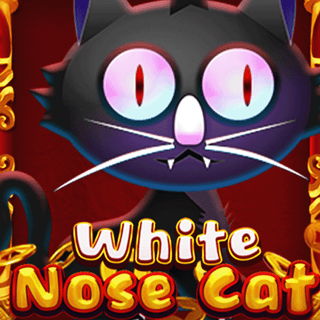 White Nose Cat